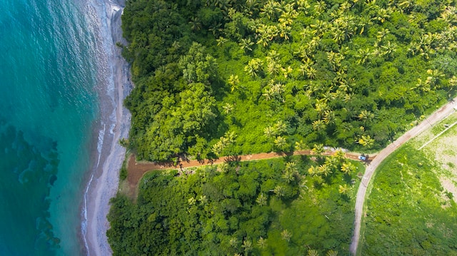 Lush palm forest lining the pristine beach of Grenada, symbolizing United Nations sustainable development goals, SDGs 2030.