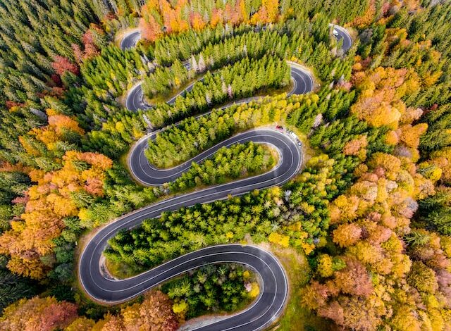 Winding forest road representing the journey of UN Sustainable Development Goals, highlighting the United Nations sustainability goals, UN goals for sustainability, and the broader world development goals, including the 17 development goals.