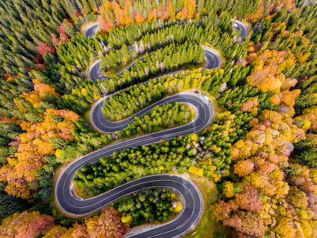 Winding forest road representing the journey of UN Sustainable Development Goals, highlighting the United Nations sustainability goals, UN goals for sustainability, and the broader world development goals, including the 17 development goals.